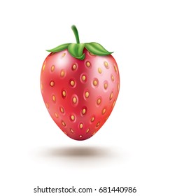 Strawberry Fruit