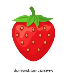 Strawberry fruit cartoon vector illustration on white background