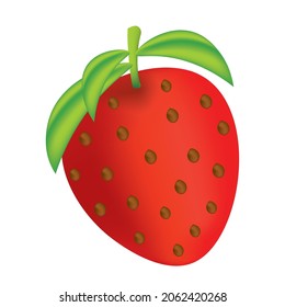strawberry fruit cartoon vector illustration