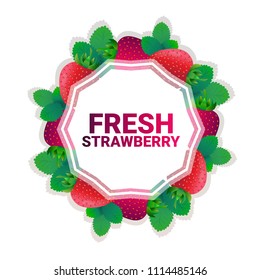 strawberry fruit colorful circle copy space organic over white pattern background