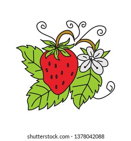 Strawberry Fruit Design Template Vector