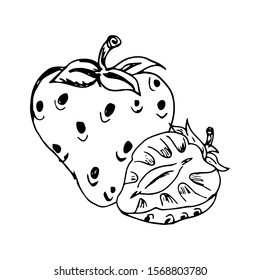 Strawberry Fruit Doodle Vector Icon Simple Design 