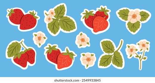 Strawberry Fruit Flat Sticker Vector Set with Berries, Leaves, Flowers, Branches