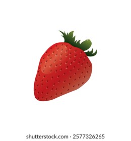 strawberry fruit fresh high vector