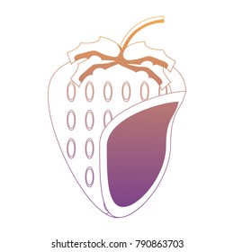 strawberry fruit icon