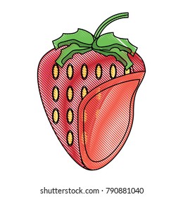 strawberry fruit icon