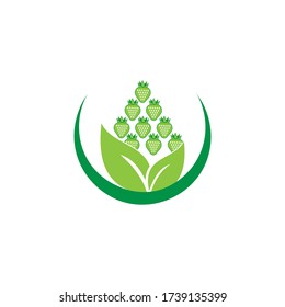 fresa - vector de icono de fruta
