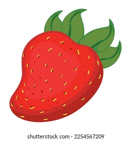 strawberry fruit icon white background
