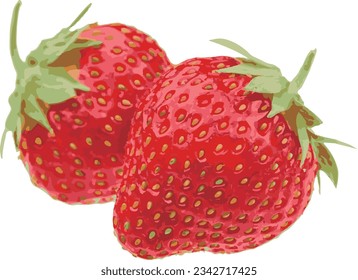 archivo vectorial de ilustración de fresa Fruit