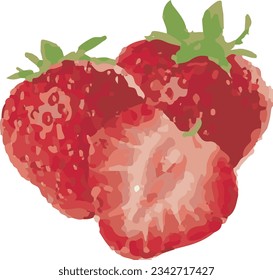 strawberry Fruit illustration vector file