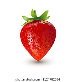 strawberry fruit illustrations. the fresh red color.
