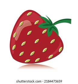 Strawberry fruit image, vector illustration, high quality