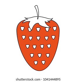 Strawberry fruit isolated
