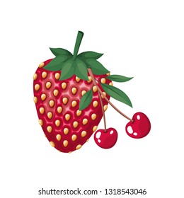 strawberry fruit isolated icon