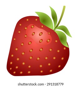 Strawberry fruit isolated on white background