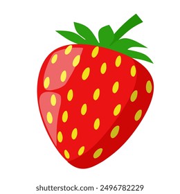 Strawberry fruit plant vector illustration on white background.