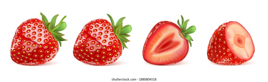 Strawberry fruit set isolated element in the middle on white background. Realistic vector in 3D illustration.
