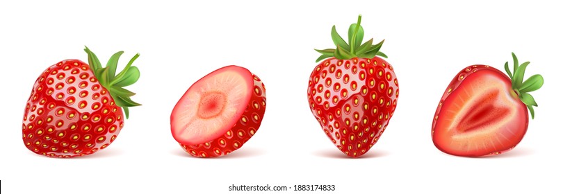 Strawberry fruit set isolated element in the middle on white background. Realistic vector in 3D illustration.
