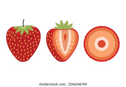 Ilustración del icono de la rebanada de fruta de fresa