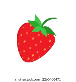 Strawberry fruit vector. Cartoon bright natural strawberrys isolated on white. Vector illustration of fresh farm organic berry used for magazine, book, poster, menu cover, web pages.