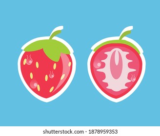 strawberry fruit vector flat design. Fruit vector collections