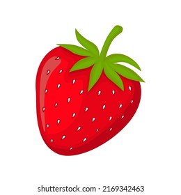Erdbeerfrucht, Vektorgrafik, mit Farbkorrektur und Schattierung, geeignet für Supermärkte, Vegetarier, Cafés, Variationen von Milcharoma, Plakate, Verpackung, Druck u. a.