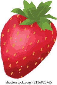 Strawberry fruit vector illustration with realistic look