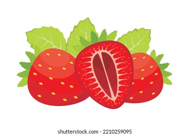 Fresa. Vector de frutales de fresa. Ilustración de frutos rojos de plantas tropicales