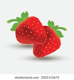 Strawberry fruit vector illustration in white background