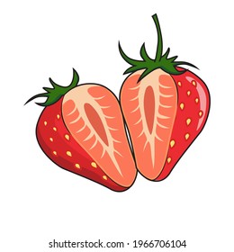 Strawberry Fruit Vector Illustrations Isolated