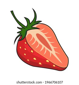 Strawberry Fruit Vector Illustrations Isolated