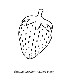 Strawberry fruit vector line art on a white background for coloring, sketching etc