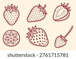 Strawberry Fruit Vector Set. Whole Sliced Cross Section Strawberry Vector Package. Hand Drawn Berry Icons Isolated on Cream Background.