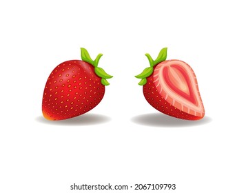 Fruto de fresa entero y conjunto de rodajas ilustración vector