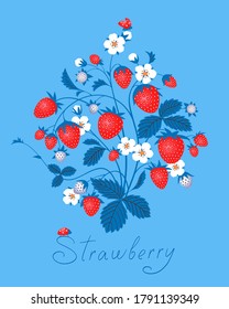 Strawberry with fruits and flowers on a blue background. Decorative print design, floral card. Vector illustration.
