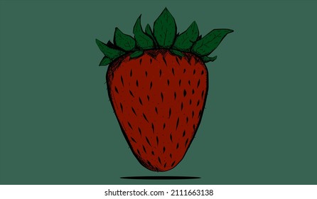 Strawberry fruits hand draw illustration vector