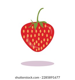 Strawberry fruits illustration design template