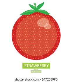 strawberry fruits vector illustration