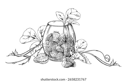 Fresa llena y cortada por la mitad servida en vaso con hojas dibujadas a mano en tinta de Vector. Cosecha de serpiente de fresa de pineberry madura. Ilustración aislada. Preservaciones de comestibles del mercado de agricultores