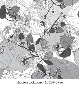 Strawberry. Garden strawberry Bush with berries and flowers. 
Vector pattern with strawberries. Hand drawing.