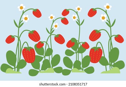 strawberry garden illustration. gardens strawberry, agriculture gardener hobby plants outdoor. summer fruit. Vector landscape designers and farming equipment. Funny colored typography poster.