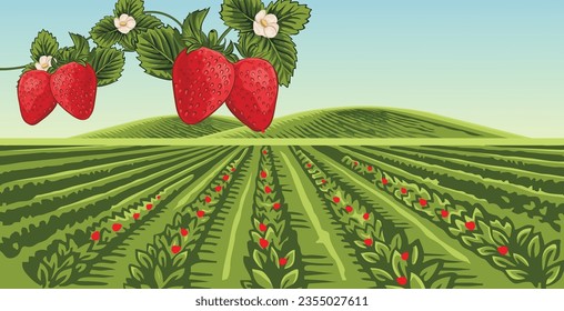 strawberry garden vector with hills in the background, with bright clouds and beautiful views 