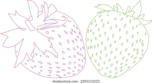 Strawberry is a genus of flowering plants in the rose family. The fruit can be eaten with flavors ranging from sweet to sour.