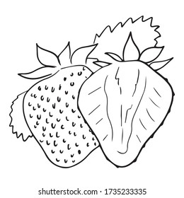strawberry graphic design vector illustration, fresh fruit, art sketch sketch, use in print, hand draw