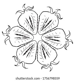 strawberry graphic design vector illustration, icon, art sketch sketch, mandala, hand draw, use in print