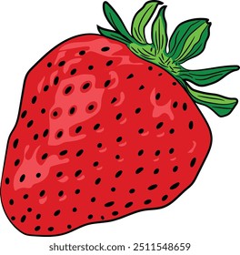 Strawberry graphic Vector Illustration, high quality for print.