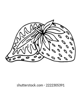 Strawberry group of two berries. Children and adults coloring book page. Whole ripe wild forest berry.