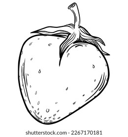 Strawberry hand drawing vintage clip art. berries logo or tattoo highly detailed in line art style concept. Black and white isolated. Antique vintage engraving illustration for emblem