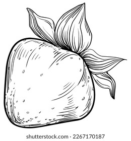 Strawberry hand drawing vintage clip art. berries logo or tattoo highly detailed in line art style concept. Black and white isolated. Antique vintage engraving illustration for emblem