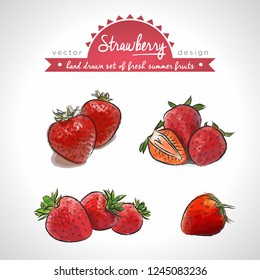 Strawberry. Hand drawn collection of vector sketch detailed fresh fruits. Isolated	